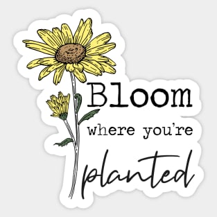 Bloom Where You're Planted Sunflower Sticker